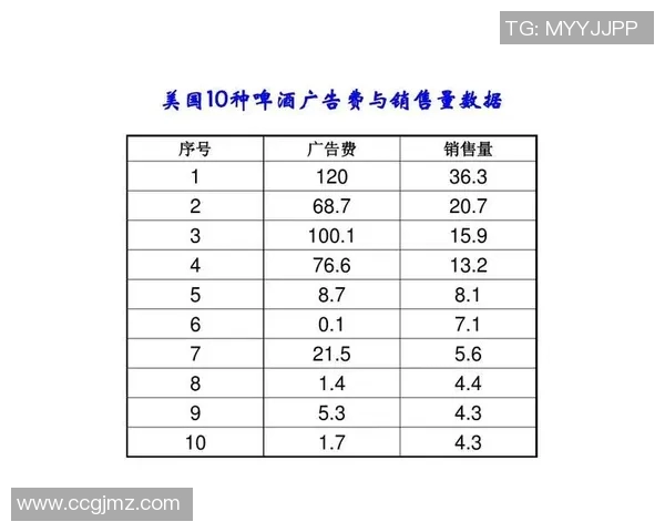 摩洛哥与伊朗比赛后技术统计全面分析与数据解读