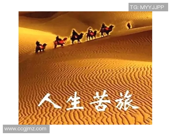 辛里奇的传奇人生与职业生涯探索:从篮球场到人生舞台的精彩旅程